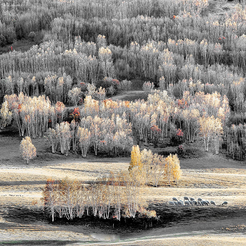 初冬.jpg 初冬.jpg